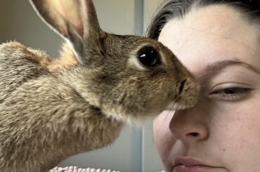 Not often I get kisses on my face from the winkler, it’s gonna be a good day 🥹