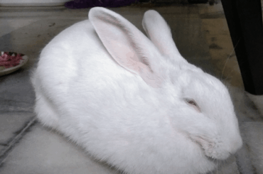 My story as first time bun mom and some good news :D
