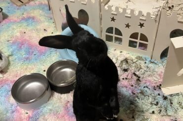 Mamas, refill water!