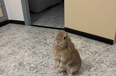 I’m hungry (she’s smelling a grape)