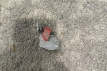 Bunny ate trident watermelon gum. Help!
