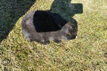 Moooom, enough pictures, the sun's too bright!