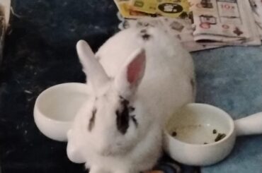 always next to her water