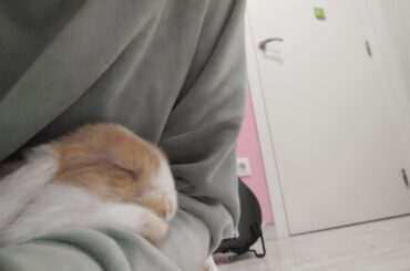 zzzzzzzz