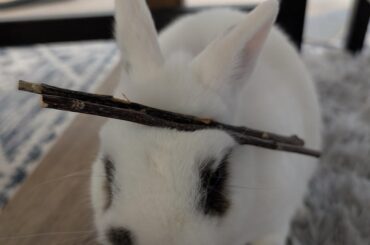 He literally doesn't care