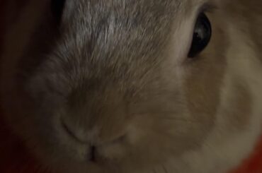 Seconds before she knocked the phone out of my hand