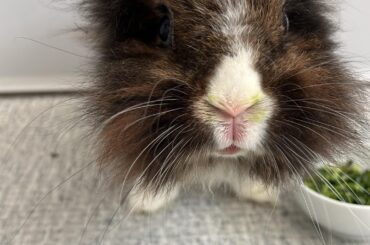 That "innocent" face 🥹
