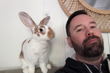 Are we still talking men with cute buns?