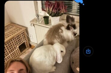 my bf is the real bunnyman