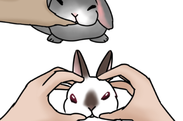 Hold your bunny's head like it's a hamburger