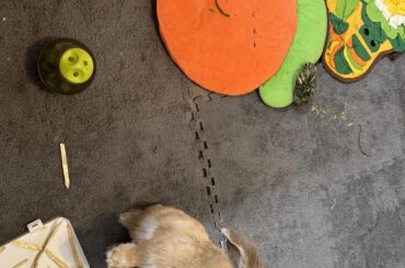 Please give me some suggestions and opinions.