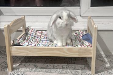 Went to IKEA - the Duktig is back!