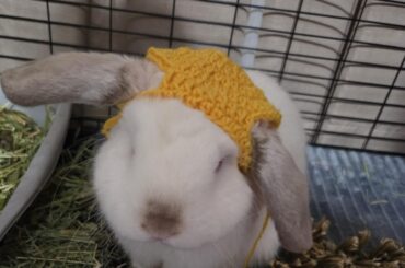 Grandma made me a hat