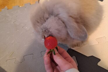 Yummmm🍓🍓