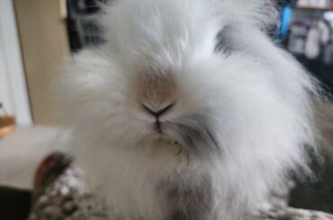 Oh my gosh, her little mouth!
