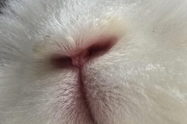 Got any games on your phone?