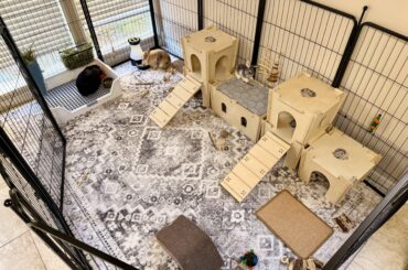Enclosure