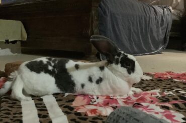 He sure is a pretty boy.