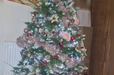 I Decorated The Tree Mum!