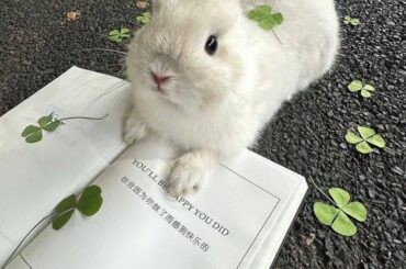 My Educated Bynny 😒🤨😍