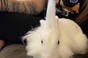 She’s run off and joined a heavy metal band. Shame her!!