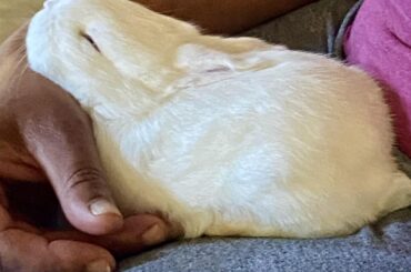 Fluffy