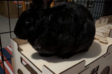 My one year old son doing his best sphere