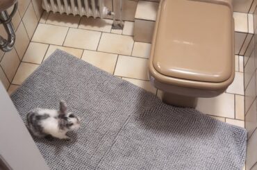 First time bonding at home