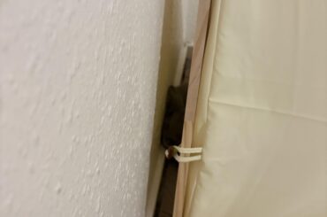 Hiding?