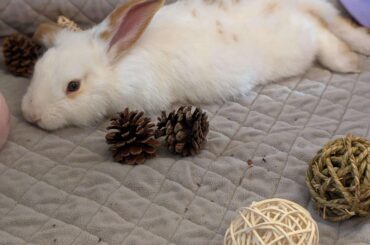 Meet June. He's new.