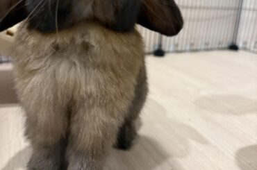 Is this something of concern? Bald patch on chest