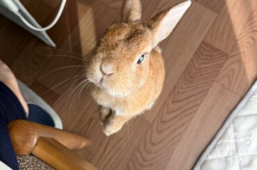 Are you eating .... an apple? Give it to me!