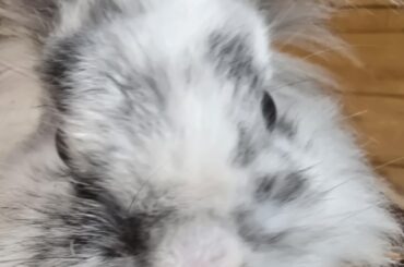 Camera detected!