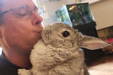 When you're recovering from a bug, bunny love does wonders 💕