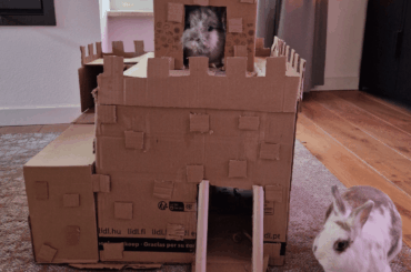 My boyfriend made this carton castle for our bunnies 😂🏰