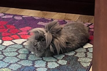 Does this mean he’s relaxed?