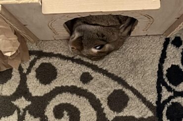 The face that makes you check to see if they’re breathing