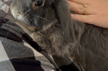 Name Suggestions?