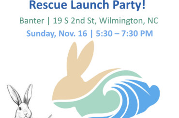 Wilmington, NC — Cocktails for Cottontails 🍸🐰🩵