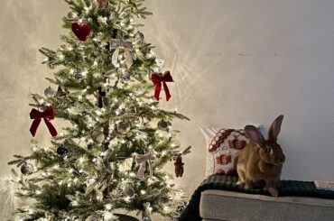 Christmas tree
