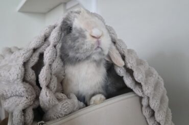 I kid you not, I found him like this 🤣. Is this a sign I should turn the heat on?