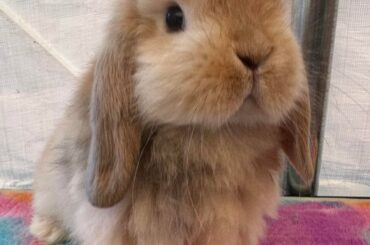Name suggestions??