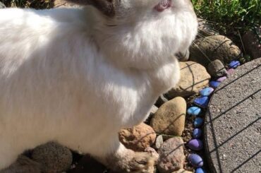 My snow white queen
