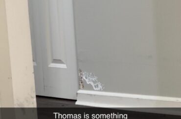Evil bunny eats the wall