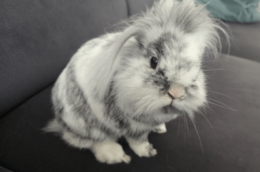 He knows your sins! How dare you hide the peaflakes?