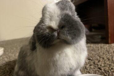 When the angle is perfect. 👌