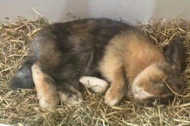 One week with Juni❣️