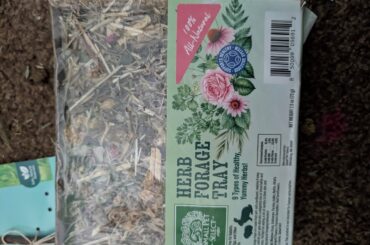 My bun's first Christmas presents