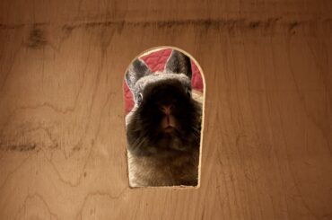 We’ve got a peeper