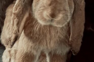Just lost my baby